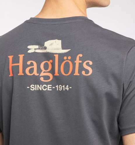koszulka bawełniana haglofs